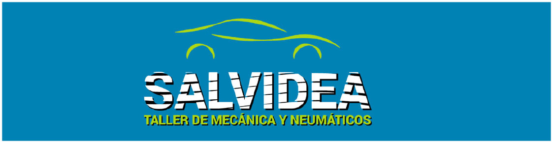salvidea-cabecera